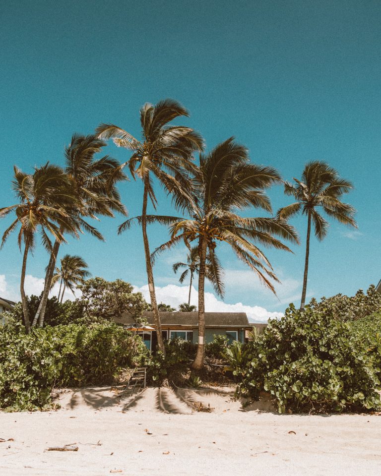 house on the beach with blue sky and palm trees all around it. suggests how your real estate investment in brazil can look like